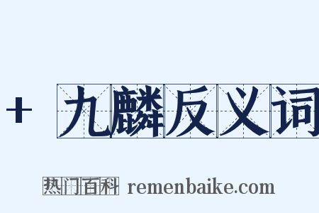 +九麟反义词是什么意思的图片